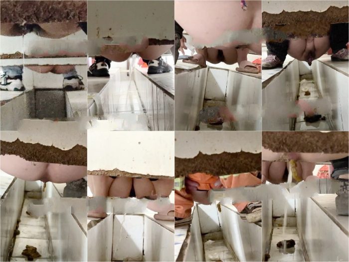 Hidden Camera 【重口厕拍】女拍手沟式旱厕偷拍-满屏大便 拉稀第17期82V[某房原版]
