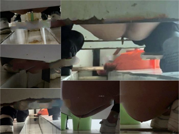 Hidden Camera 【重口厕拍】女拍手沟式旱厕偷拍-满屏大便 拉稀第19期[某房原版]80V
