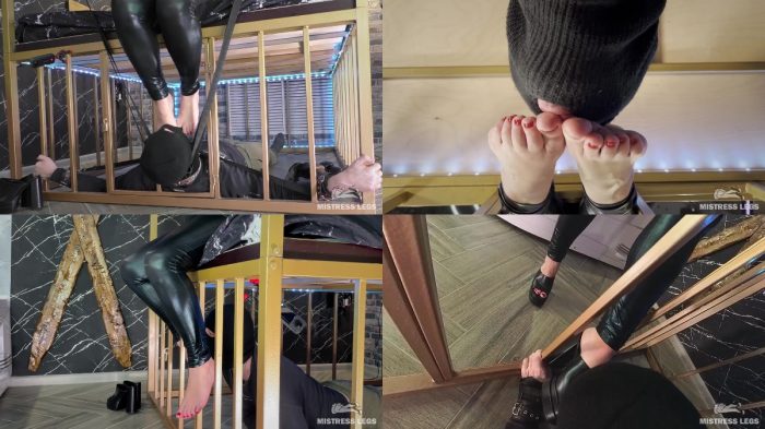 MistressLegs – Mistress Dominates Her Slave In The Bedside Cage And Piss…