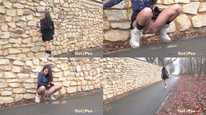 Mini Mitzi – Desperate In The Suburbs