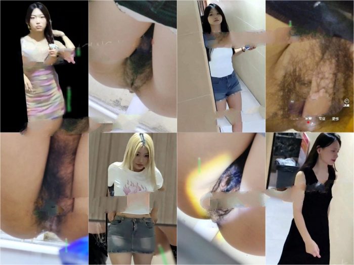 Spy Camera China Toilet Voyeur sifangktv 2172-2174