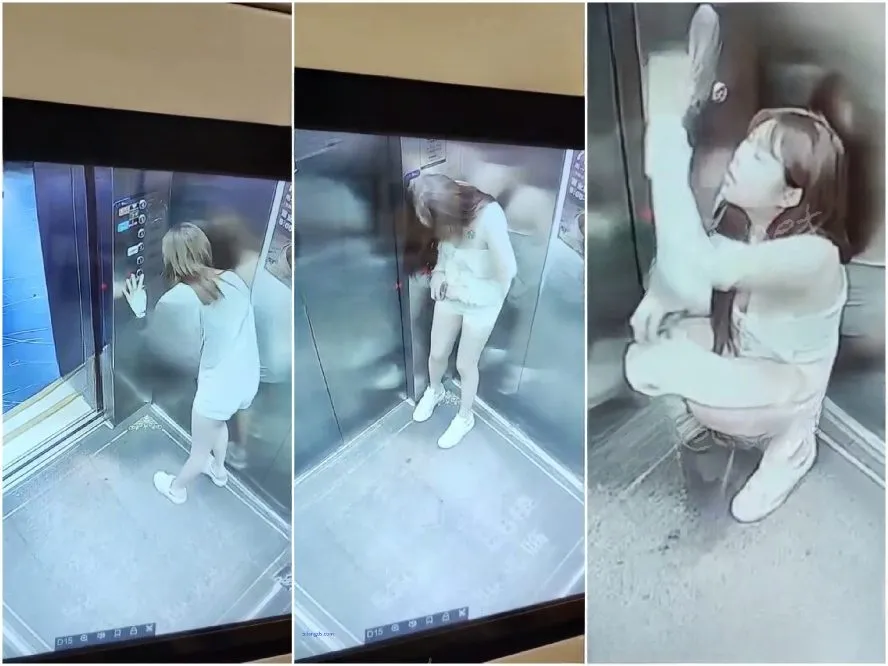 digicamcontrol Beautiful girl peeing in the elevator