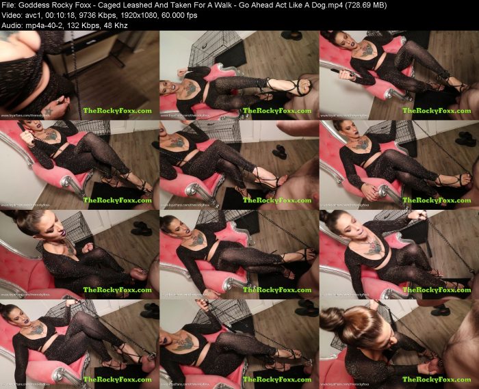 Goddess Rocky Foxx - Caged Leashed And Taken For A Walk - Go Ahead Act L... | FemDom | Kinkmixer