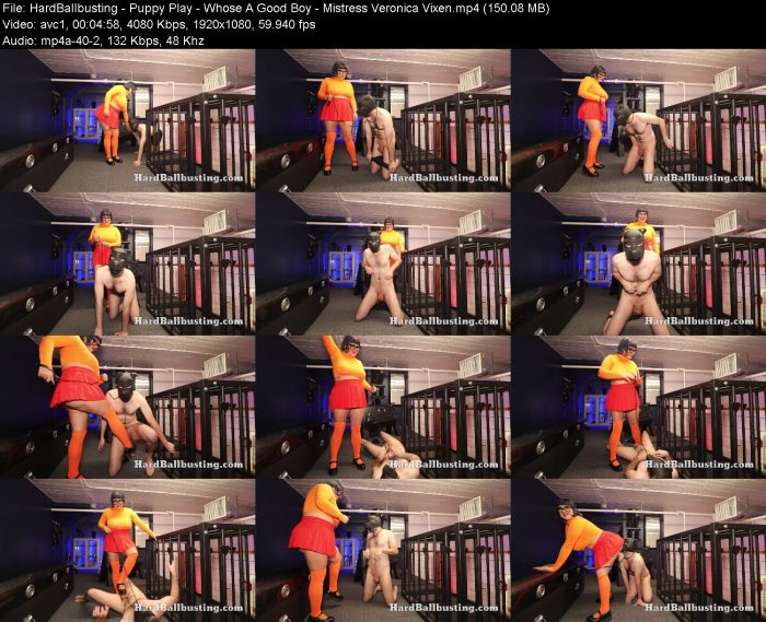 HardBallbusting - Puppy Play - Whose A Good Boy - Mistress Veronica Vixen | FemDom | Kinkmixer