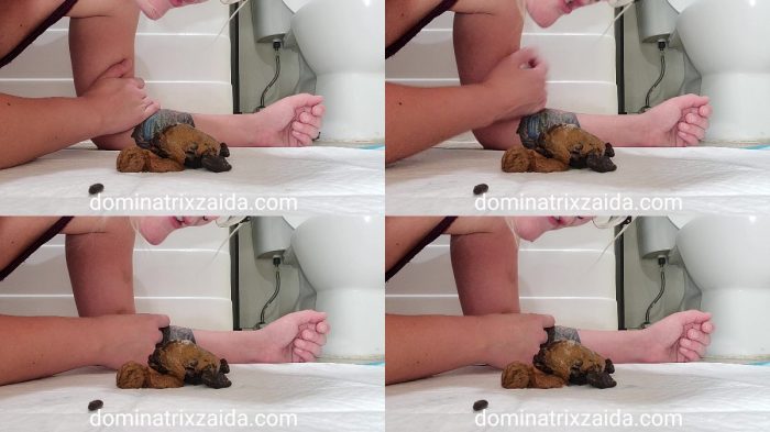 Mistress Zaida – You’re just a fucking toilet