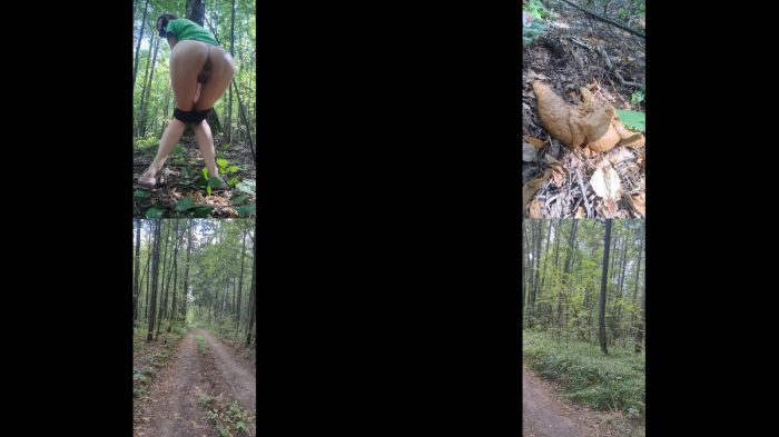 poogirla – poop in the park