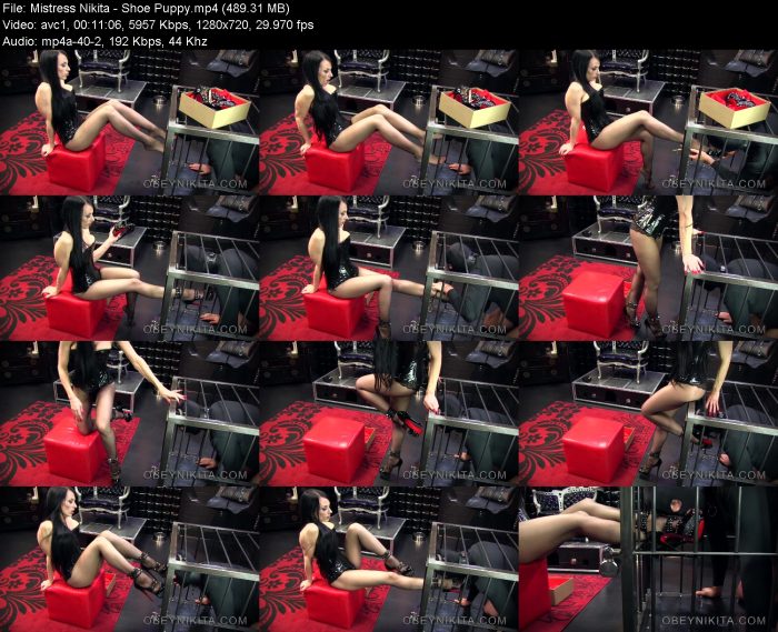 Mistress Nikita - Shoe Puppy | FemDom | Kinkmixer