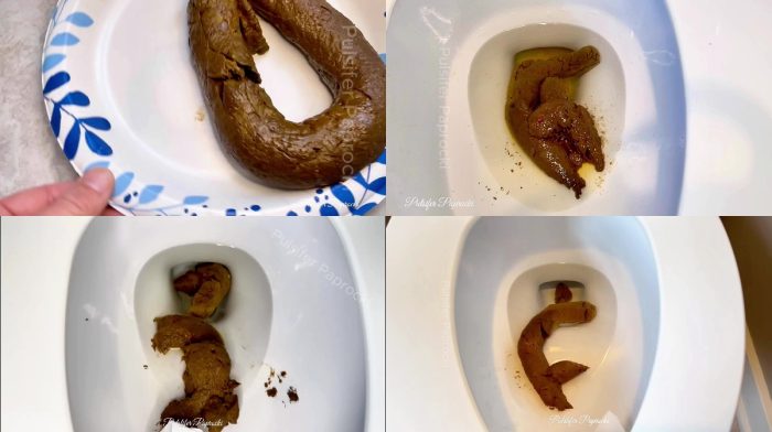 PulsiferPaprocki – PP’s Faves- Shit Compilation #1
