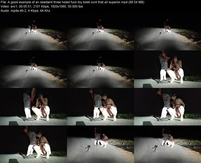 A good example of an obedient three holed fuck toy toilet cunt that all ... | Pee | Kinkmixer