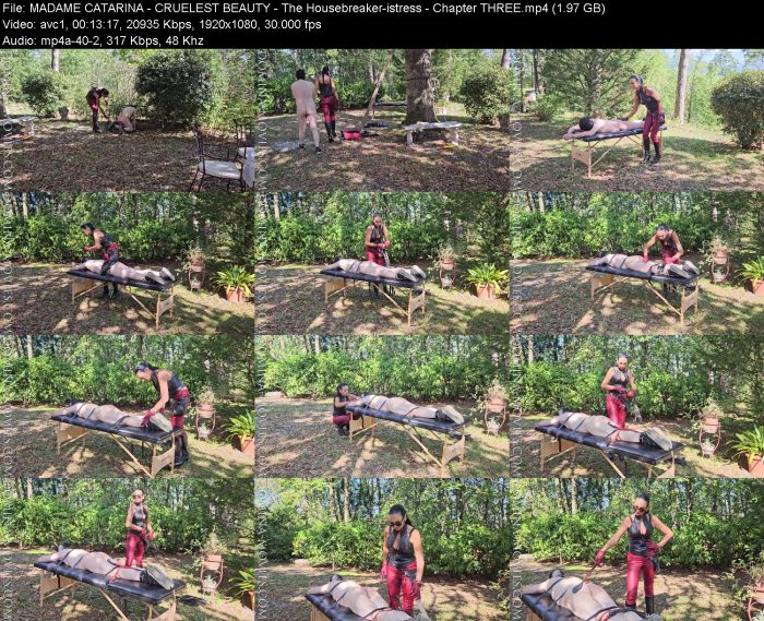 MADAME CATARINA - CRUELEST BEAUTY - The Housebreaker-istress - Chapter T... – KinkMixer - Violent Crazy Desires MADAME CATARINA - CRUELEST BEAUTY - The Housebreaker-istress - Chapter T... | FemDom | Kinkmixer