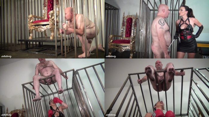 Stella Liberty   Boxing Balls – Ballbusting