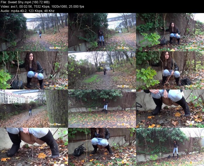 Sweet Shy | Pee | Kinkmixer