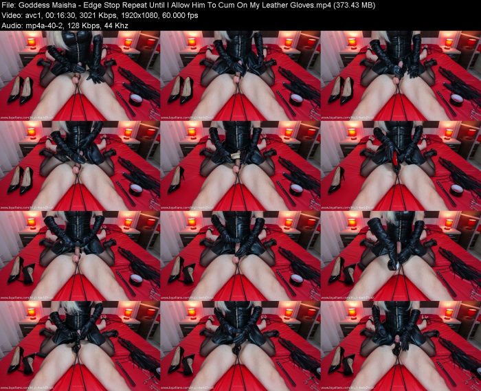 Goddess Maisha - Edge Stop Repeat Until I Allow Him To Cum On My Leather... | FemDom | Kinkmixer