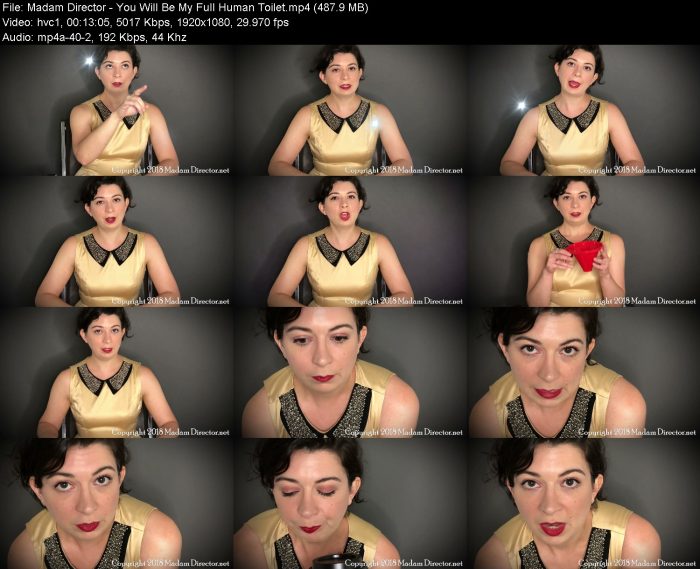 Madam Director - You Will Be My Full Human Toilet – KinkMixer - Violent Crazy Desires Madam Director - You Will Be My Full Human Toilet | Pee | Kinkmixer