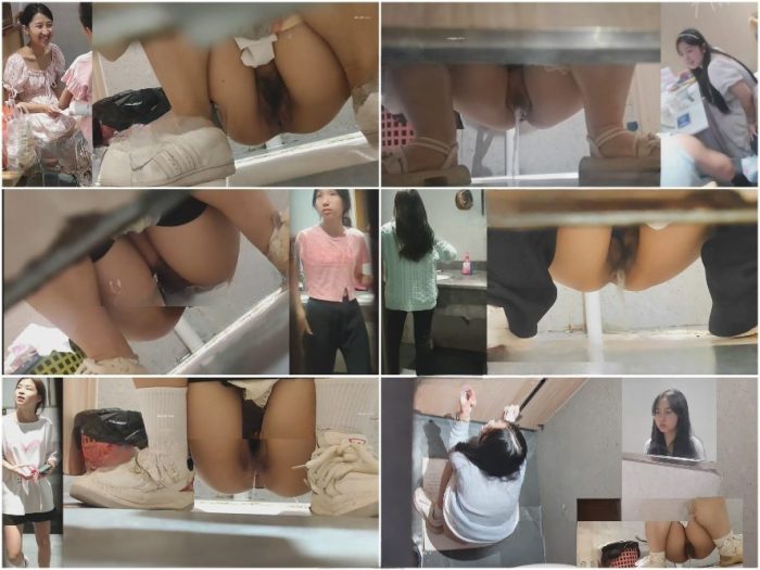 Poop In A Toilet 高画質の手持ち式トイレカメラ映像が新たに流出❤️ 名カメラマンが大学近くのレストランに潜入し、女子トイレで排尿…