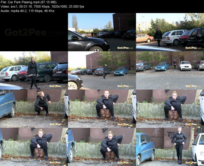 Car Park Pissing | Pee | Kinkmixer