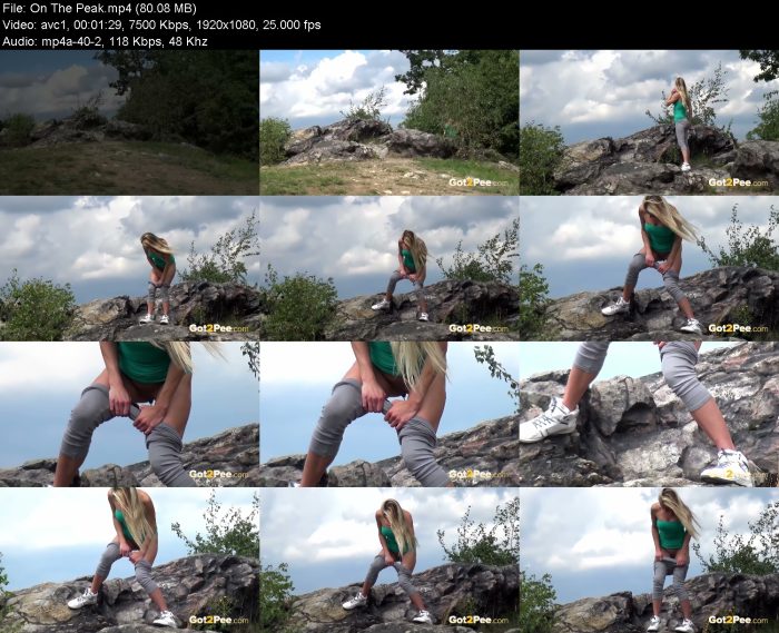 On The Peak | Pee | Kinkmixer