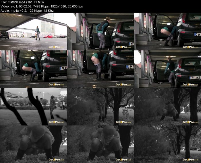 Ostrich – KinkMixer - Violent Crazy Desires Ostrich | Pee | Kinkmixer