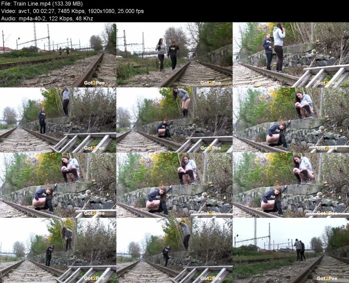 Train Line – KinkMixer - Violent Crazy Desires Train Line | Pee | Kinkmixer