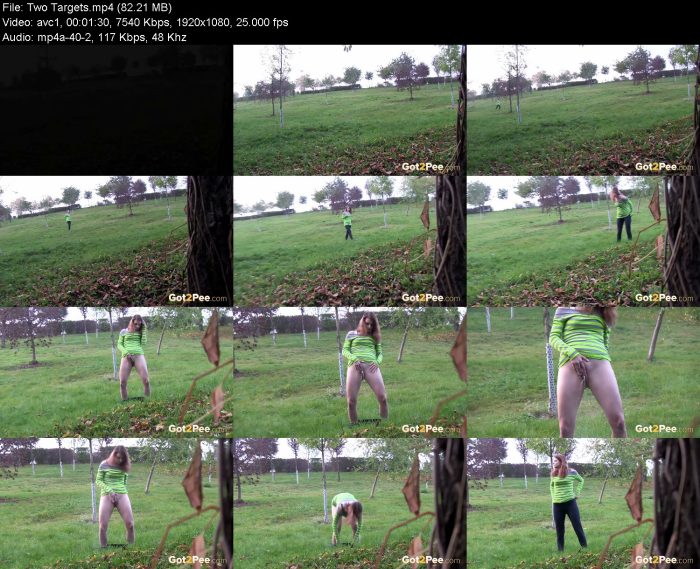 Two Targets – KinkMixer - Violent Crazy Desires Two Targets | Pee | Kinkmixer