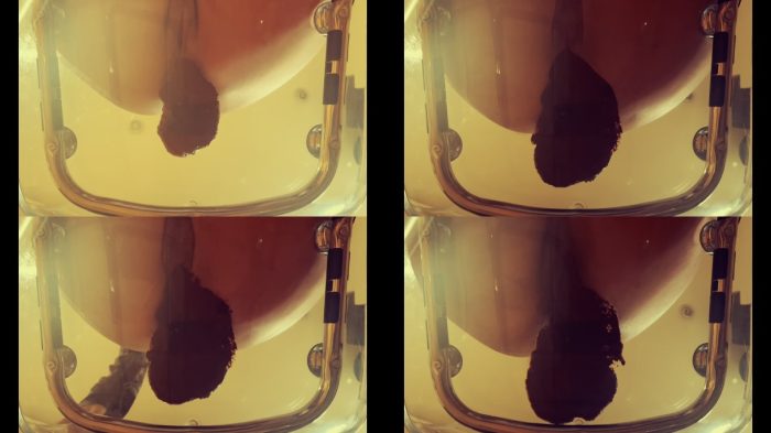 Arisdark – Poop in transparent chair