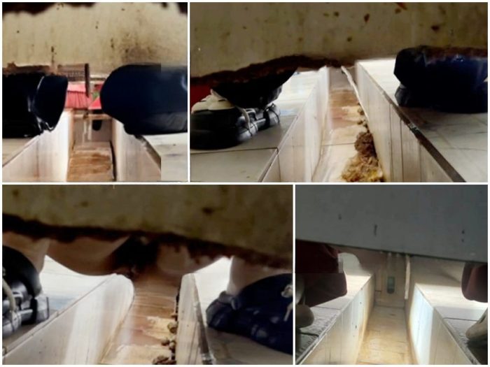 Nude Ass 女性が乾いたトイレをこっそり撮影しながら拍手をする - 画面いっぱいに糞便が映る、下痢エピソード34。 | Toilet Voyeurism | Kinkmixer