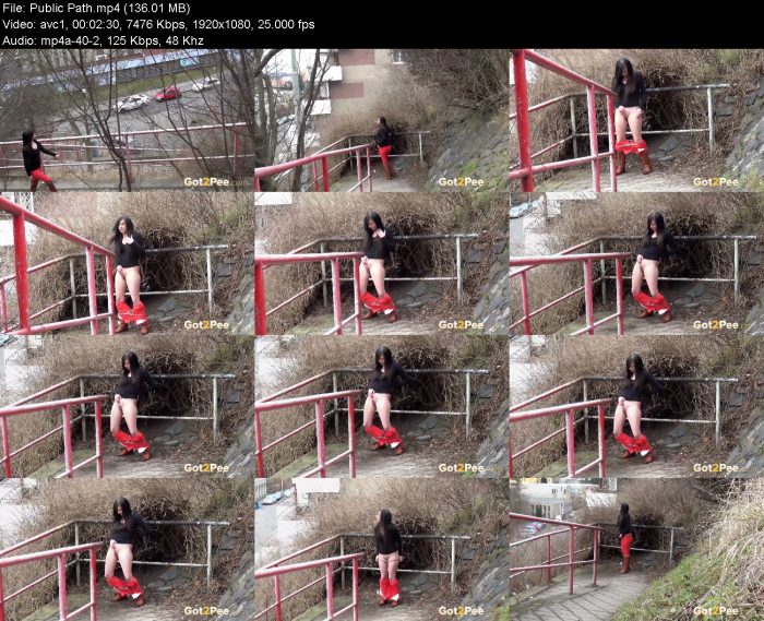 Public Path – KinkMixer - Violent Crazy Desires Public Path | Pee | Kinkmixer