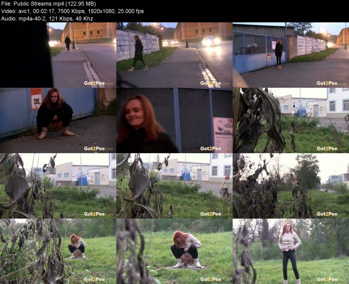 Public Streams | Pee | Kinkmixer