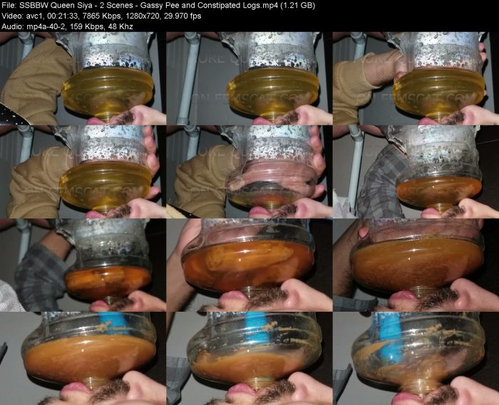 SSBBW Queen Siya - 2 Scenes - Gassy Pee and Constipated Logs | Toilet Slavery | Kinkmixer