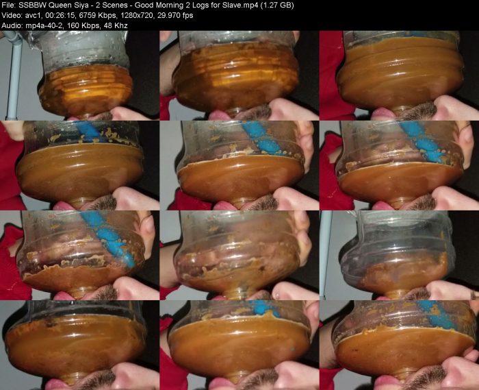SSBBW Queen Siya - 2 Scenes - Good Morning 2 Logs for Slave | Toilet Slavery | Kinkmixer