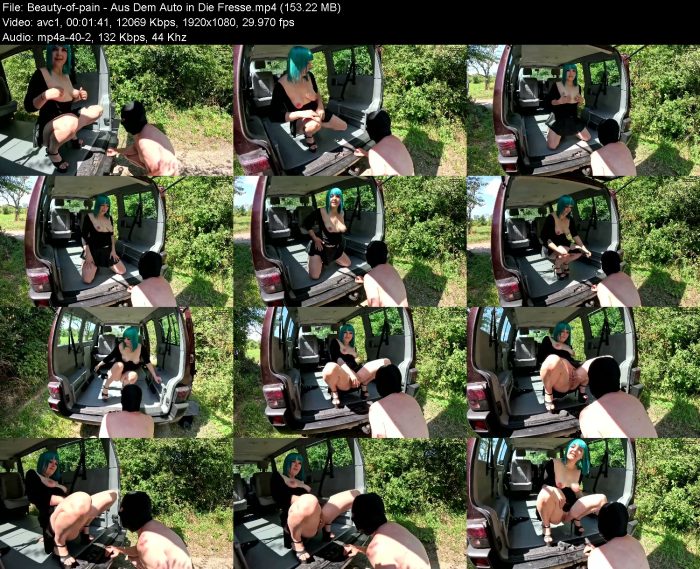 Beauty-of-pain - Aus Dem Auto in Die Fresse | Pee | Kinkmixer