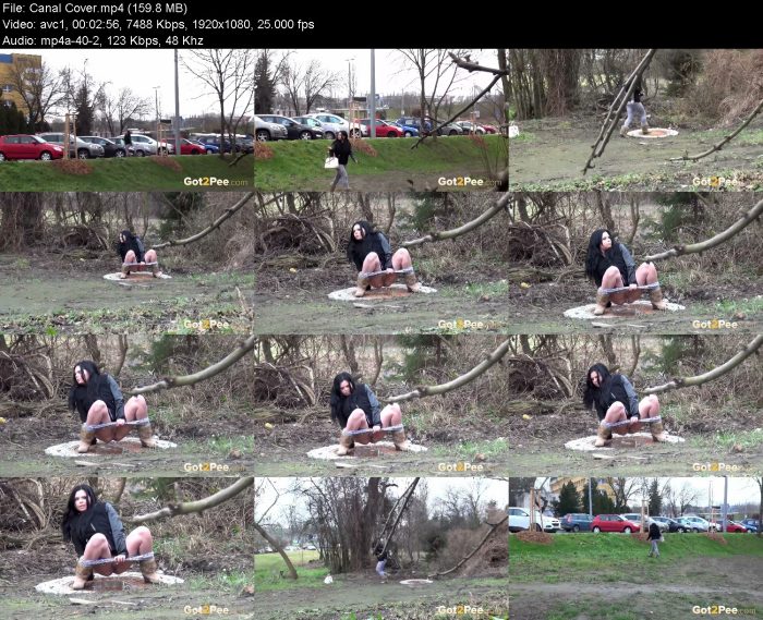 Canal Cover – KinkMixer - Violent Crazy Desires Canal Cover | Pee | Kinkmixer