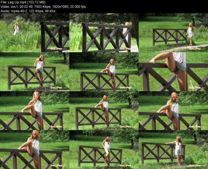 Leg Up – KinkMixer - Violent Crazy Desires Leg Up | Pee | Kinkmixer