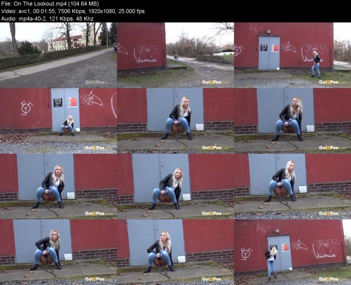 On The Lookout – KinkMixer - Violent Crazy Desires On The Lookout | Pee | Kinkmixer