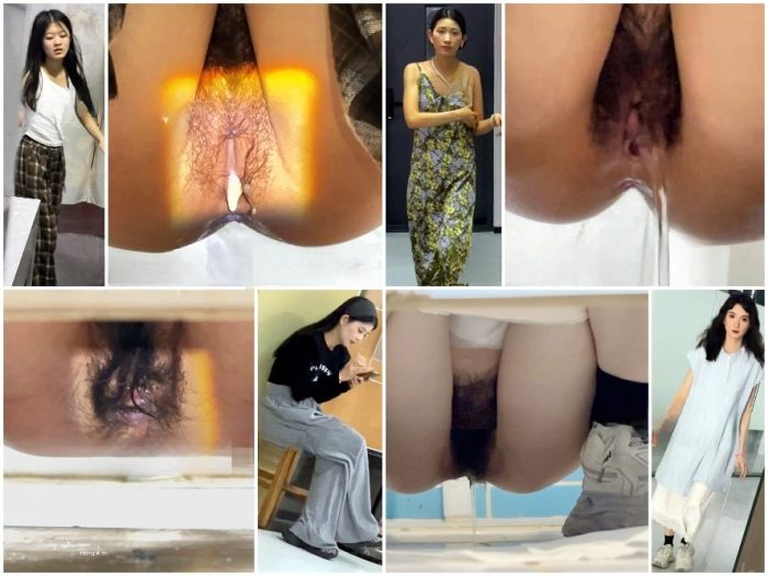 Public Restroom ゲリラ撮影＆照明スタイル：絶世の美女たちの排泄シーン集（全52本）