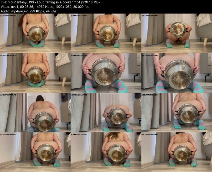 Yourfantasy6190 - Loud farting in a cooker | Poop Girls | Kinkmixer