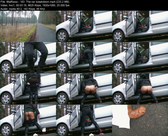 MiaRoxxx - 183 The car breakdown – KinkMixer - Violent Crazy Desires MiaRoxxx - 183 The car breakdown | Poop Girls | Kinkmixer