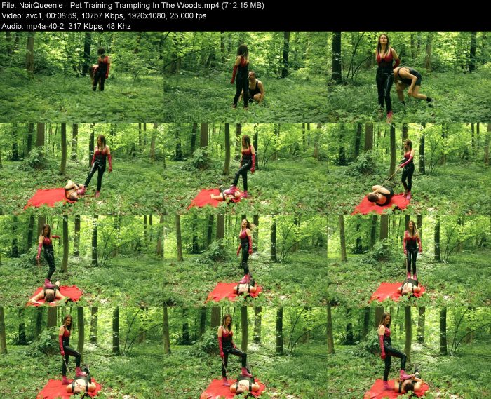 NoirQueenie - Pet Training Trampling In The Woods – KinkMixer - Violent Crazy Desires NoirQueenie - Pet Training Trampling In The Woods | FemDom | Kinkmixer