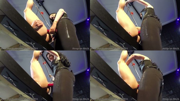 Strap-On Bitch – Mahoganyqen Mistress Iside – Pegging And Vacuum Toys