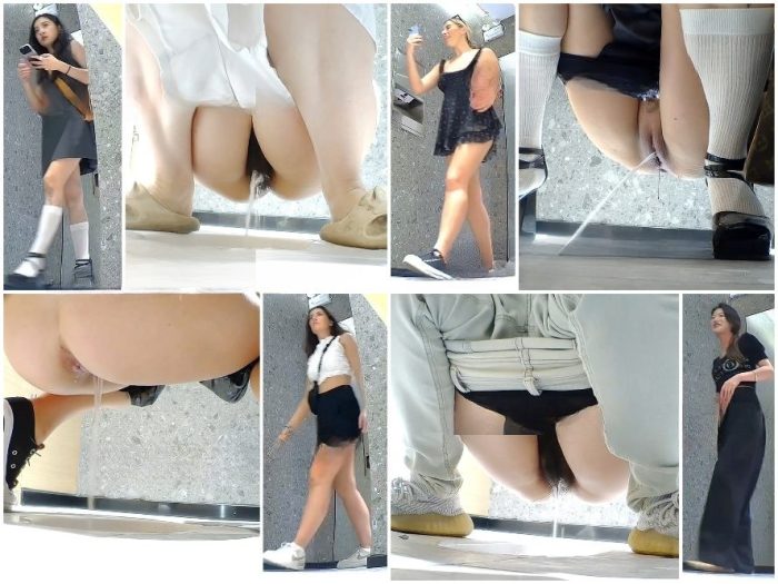 Public Restroom China Toilet Voyeur sifangktv 2746-2748