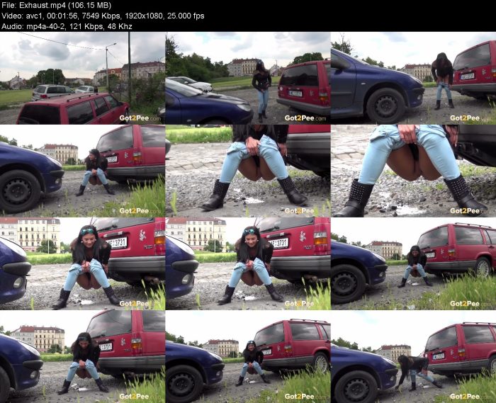 Exhaust – KinkMixer - Violent Crazy Desires Exhaust | Pee | Kinkmixer