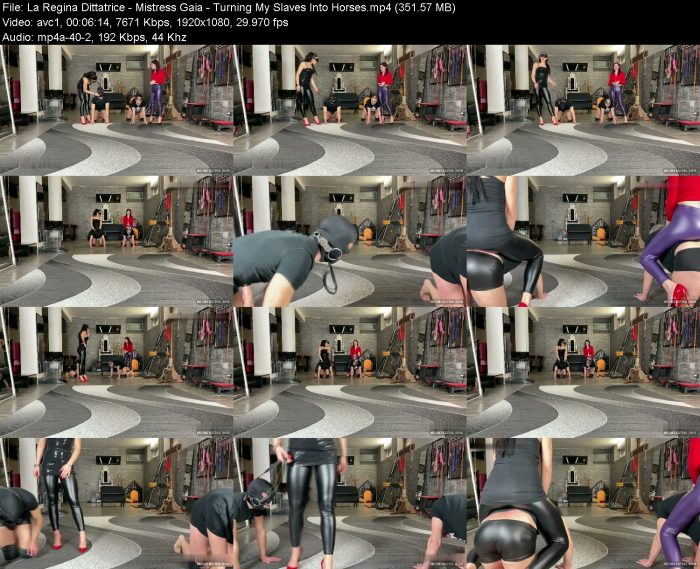 La Regina Dittatrice - Mistress Gaia - Turning My Slaves Into Horses – KinkMixer - Violent Crazy Desires La Regina Dittatrice - Mistress Gaia - Turning My Slaves Into Horses | FemDom | Kinkmixer