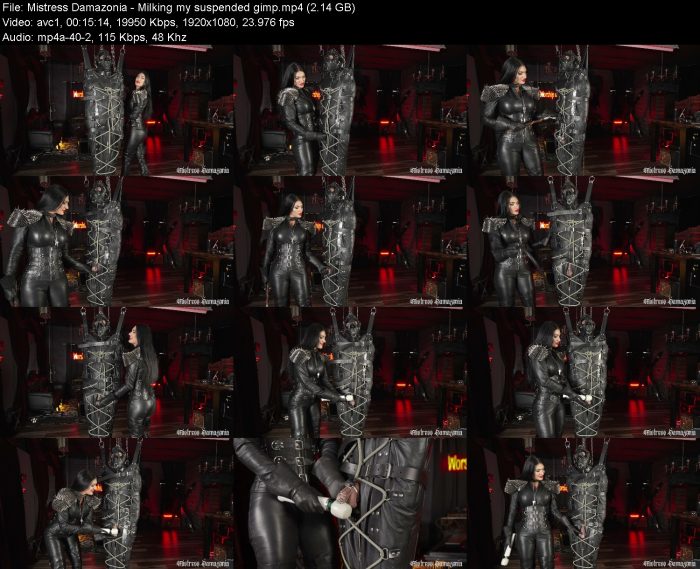 Mistress Damazonia - Milking my suspended gimp | FemDom | Kinkmixer