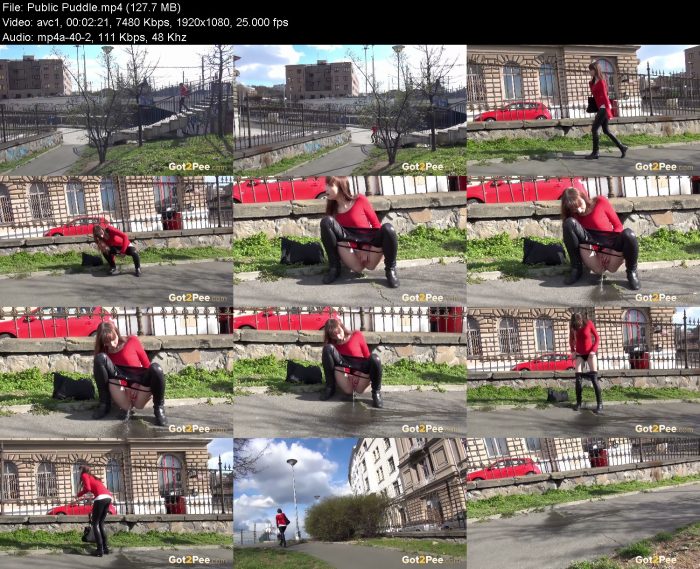 Public Puddle – KinkMixer - Violent Crazy Desires Public Puddle | Pee | Kinkmixer