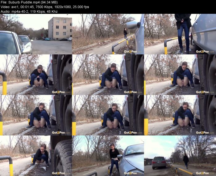 Suburb Puddle | Pee | Kinkmixer