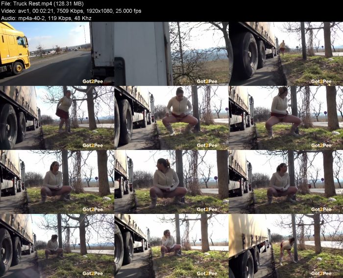 Truck Rest – KinkMixer - Violent Crazy Desires Truck Rest | Pee | Kinkmixer