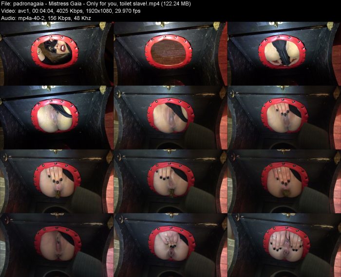 padronagaia - Mistress Gaia - Only for you, toilet slave! | Toilet Slavery | Kinkmixer