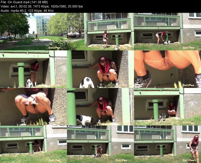 On Guard – KinkMixer - Violent Crazy Desires On Guard | Pee | Kinkmixer