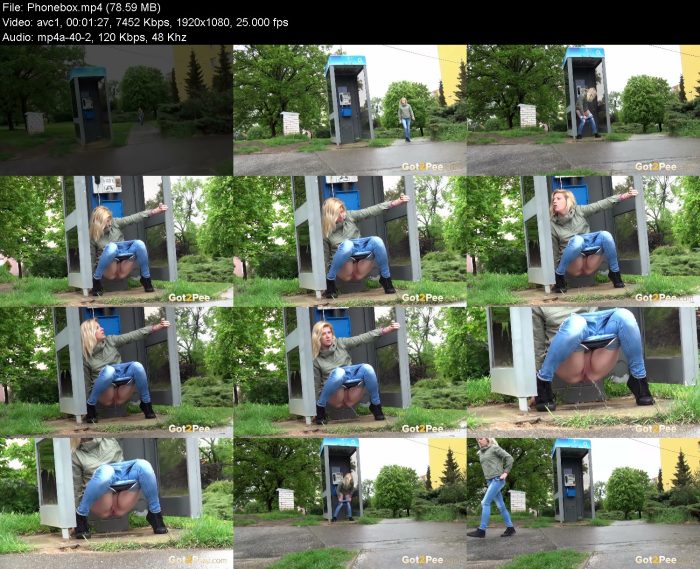 Phonebox – KinkMixer - Violent Crazy Desires Phonebox | Pee | Kinkmixer