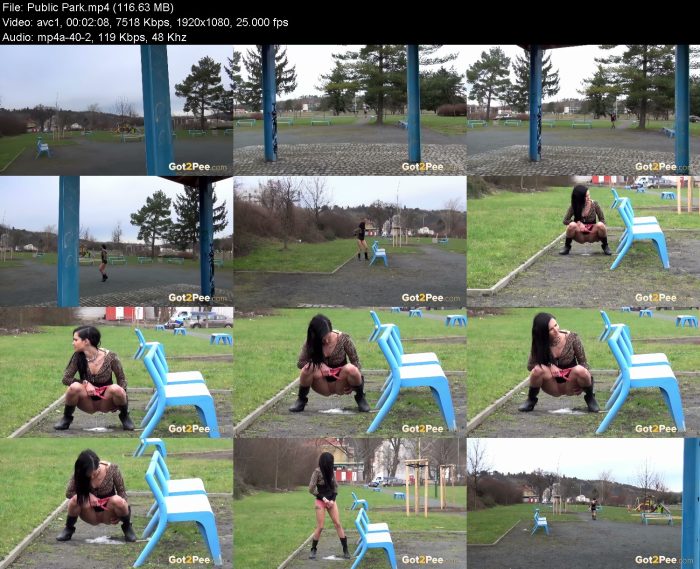 Public Park – KinkMixer - Violent Crazy Desires Public Park | Pee | Kinkmixer